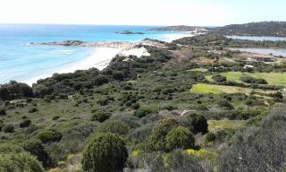 L'Onda Blu - Domus de Maria - 3