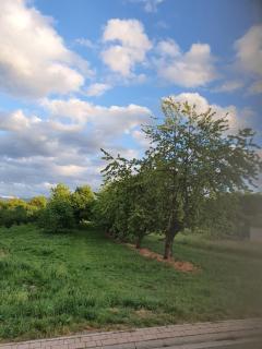 Quiet Place - Achern - 2
