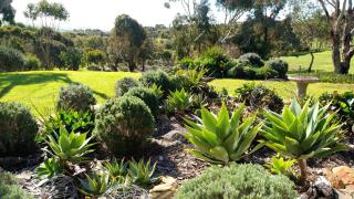 Austiny Bed and Breakfast Victor Harbor - Victor Harbor - 8