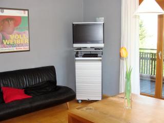 Haus Meersburg Rebe - 3