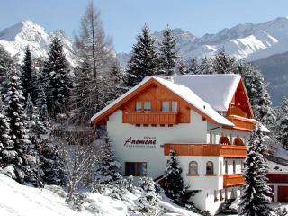 Haus Anemone - Serfaus - 6