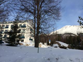 Apartman Bery, Vysoké Tatry - Starý Smokovec - 3