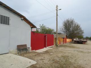 Rustic house - Turnu Măgurele - 3