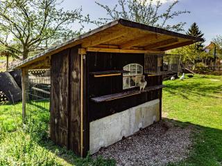 Hof Lewin - Dargen - 1