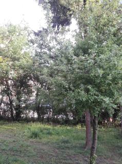 Apartman Archy - Sarajevo - 8