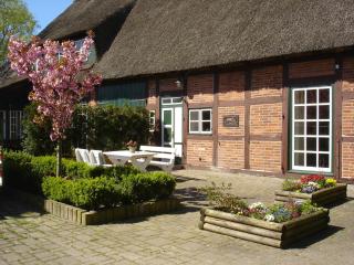 Krügerhof Lübbersdorf - 9