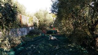 B&B La Grola - 7