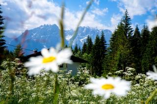 Haus Alpengluehn - Iselsberg - 4