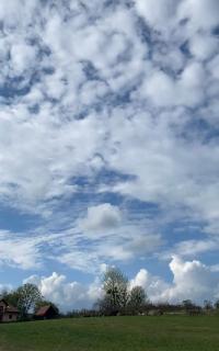 Agroturystyka nad jeziorem Silickim Ilińscy - Silice - 3
