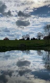 Agroturystyka nad jeziorem Silickim Ilińscy - Silice - 1
