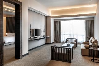 Hyatt Raipur - Raipur - 1