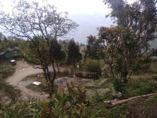 Tragopan Homestay - 2