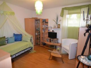 Apartment near Hassberge Hill Bavaria - Zeil - 4