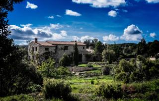 Mas de l'Arlequi - 3