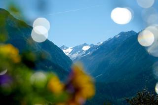 Hotel Gasthof Abelhof - Neukirchen am Grossvenediger - 4