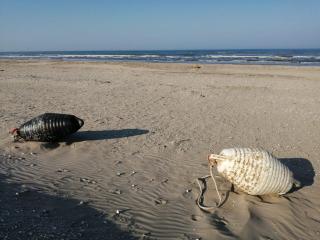 Hotel Bamar - Cervia - 3