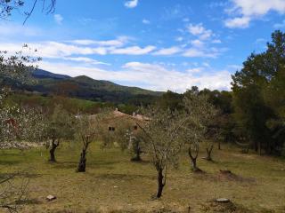 MAS TARRÈS - Madremanya - 9