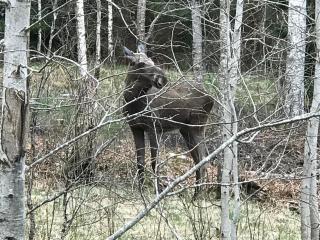 Vimmerby Lilla utsikten - 4