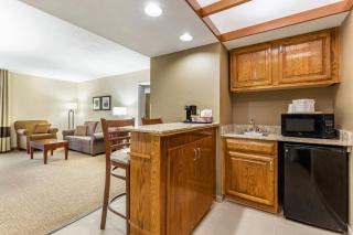 Comfort Inn & Suites Clemson - University Area - Clemson - 9