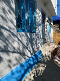 Casa Bunicilor Granny's House - Jurilovca - 3