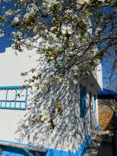 Casa Bunicilor Granny's House - Jurilovca - 2