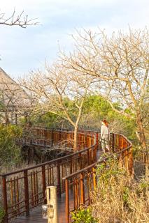 Thanda Safari - 6