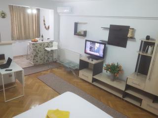 Calea Victoriei Residence - Bucharest - 2