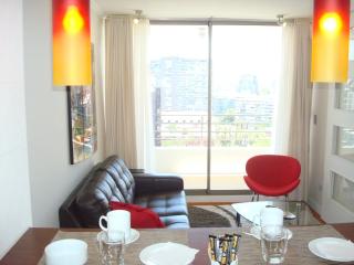 Brizen Apartments Manuel Montt - Santiago - 9