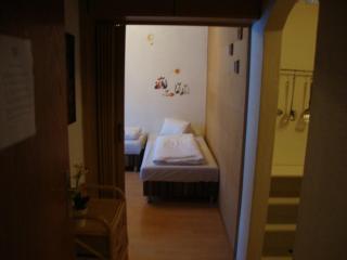 Apartment Alena - include Jokercard - Saalbach-Hinterglemm - 9