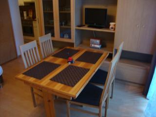 Apartment Alena - include Jokercard - Saalbach-Hinterglemm - 6