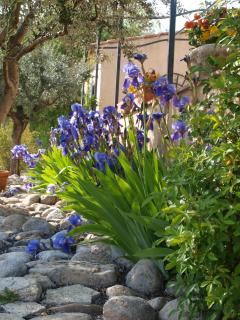 jardin d'antan - 6