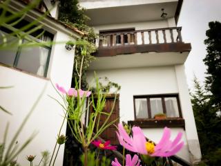 Hotel Panorama - La Cumbrecita - 1