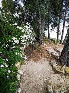 Apartamento entre la playa y la montaña - Calafell - 6