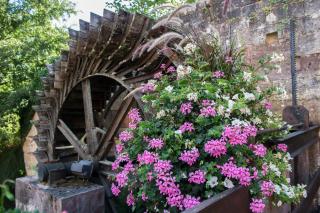 Le Moulin de la Walk - Wissembourg - 3