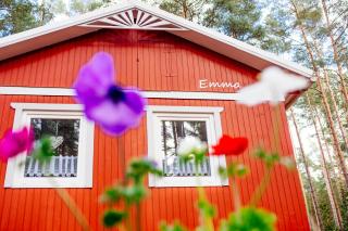 Waldhaus Emma - Suderburg - 1