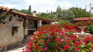Alambra Atrium - Alambra - 3