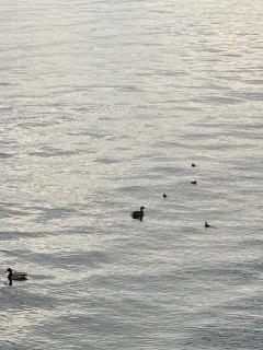 A Casa di Chiara 2 - 7