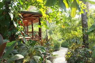 Hotel Guiones - Nosara - 6