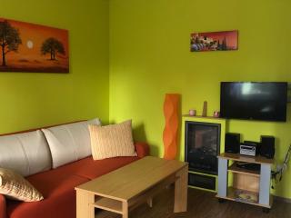 Karlov pod Pradědem Apartmány Orbit - Karlov - 8