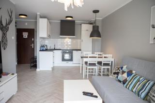 Apartament Scandic - Malbork - 1