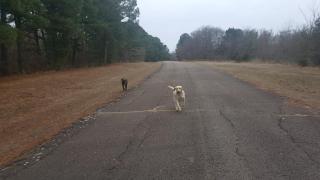 Lake Eufaula Inn & Suites - Checotah - 3