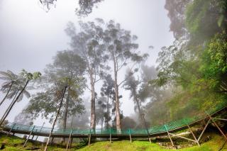Sutera Sanctuary at Kinabalu Park - 9