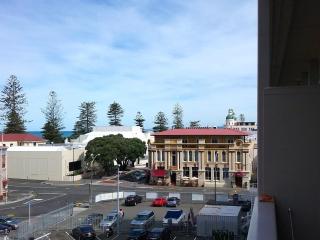 Napier Inner City Apartment - Napier Apartment - Napier - 9