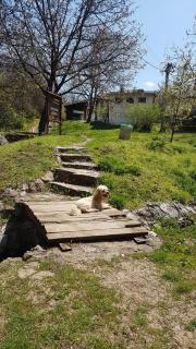 Apartmani Smiljanic Sokobanja - 2