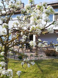 Privatzimmer Langthaler - Melk - 1