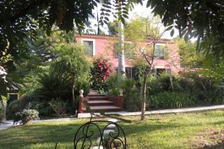 Sous L'Olivier - Menton - 1