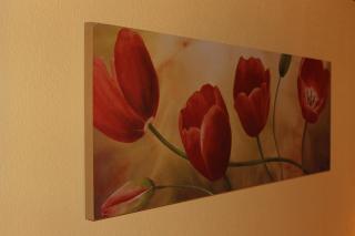 Appartements Zerzer - 1