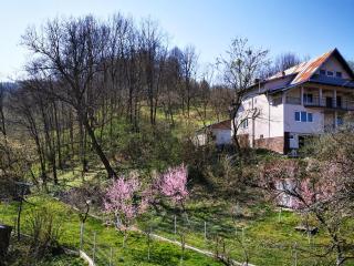 Pension Sf Nicolae - Aluniş - 2