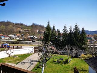 Pension Sf Nicolae - Aluniş - 3