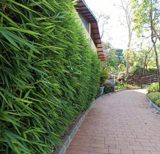 Encore A Boutique Resort - Mulshi - 8